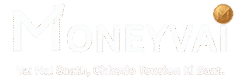 MoneyVai Logo